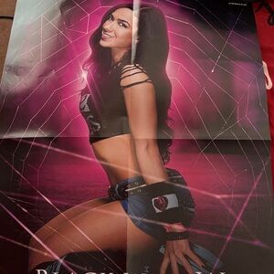 Aj Lee black widow poster with gold dust and Cody Rhoades on the reverse side